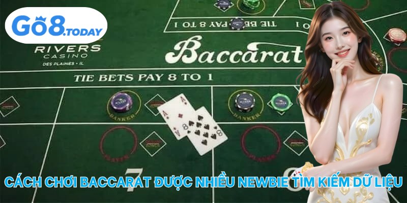 Cách chơi baccarat được nhiều newbie tìm kiếm dữ liệu