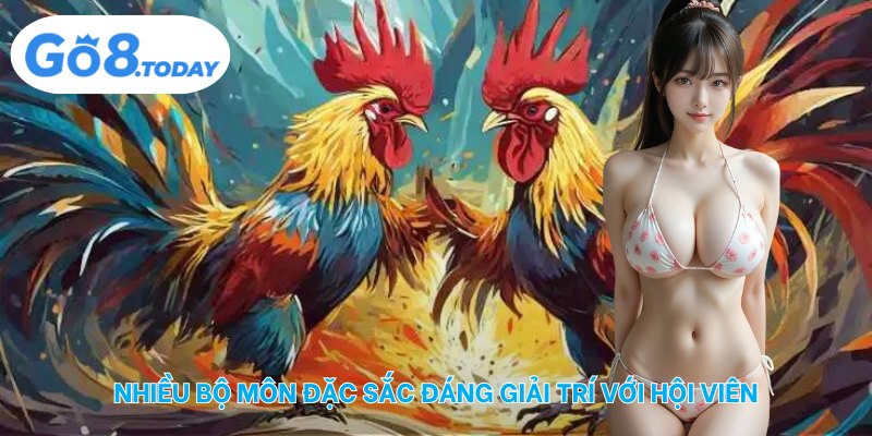 Nhiều bộ môn đặc sắc đáng giải trí với hội viên