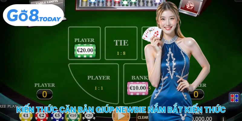 Kiến thức căn bản giúp newbie nắm bắt kiến thức